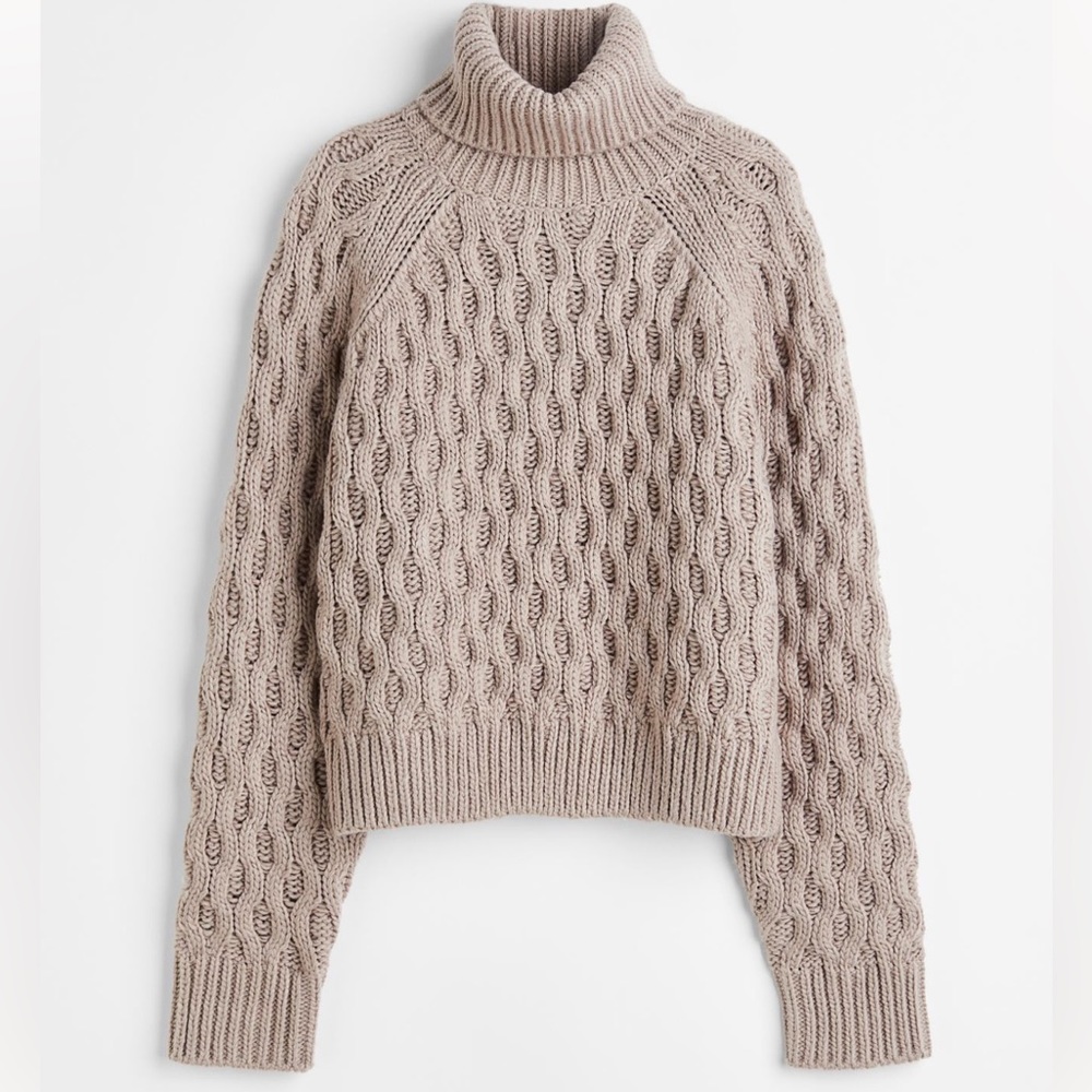 H&M turtleneck sweater